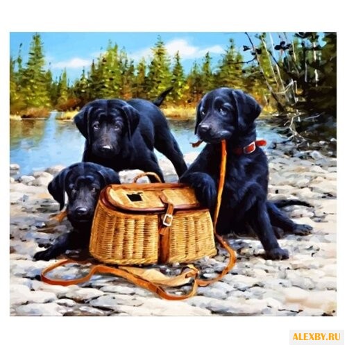 Color Kit Картина по номерам На