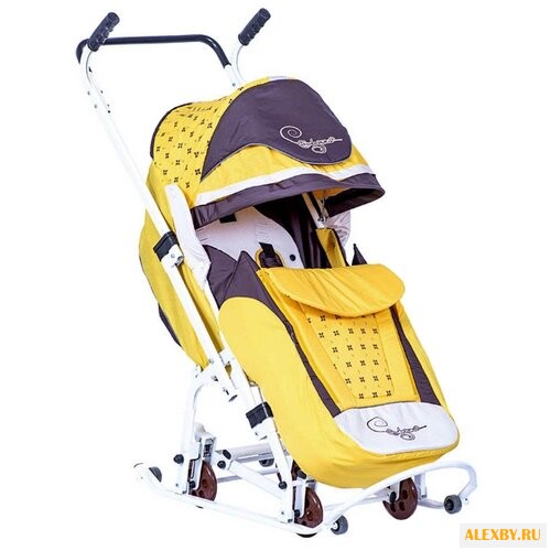 Санки-коляска RT Скользяшки
