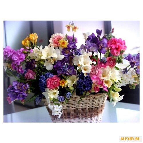 Paintboy Картина по номерам