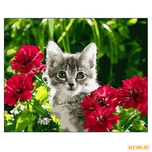 Рыжий кот Картина по номерам