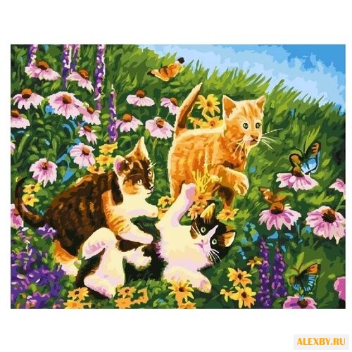 Color Kit Картина по номерам На