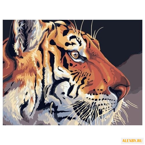 Dimensions Картина по номерам