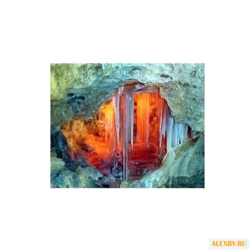 Molly Картина по номерам