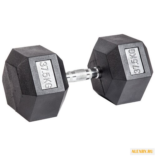 Набор гантелей неразборных Body
