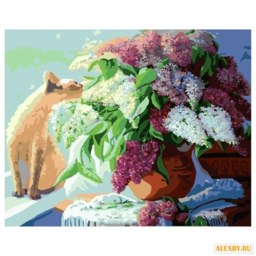 Цветной Картина по номерам