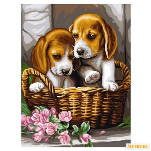 Paintboy Картина по номерам