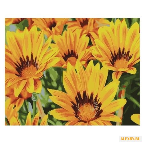 Color Kit Картина по номерам