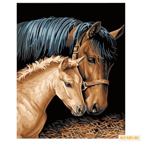 Hobbart Картина по номерам