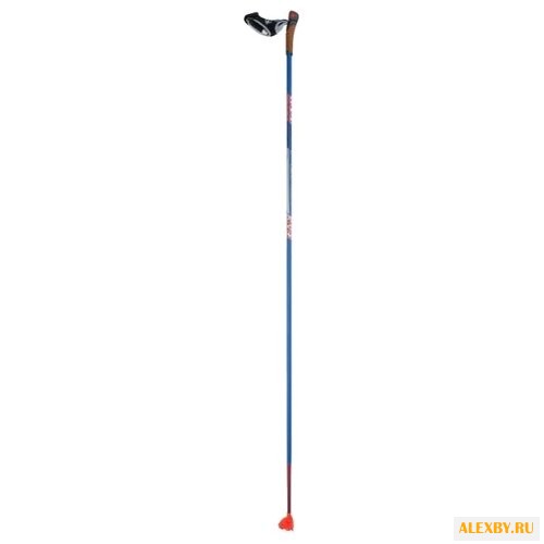 Лыжные палки KV+ Forza