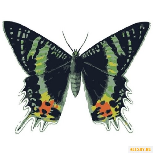 Menglei Картина по номерам