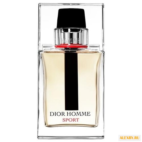 Christian Dior Dior Homme Sport