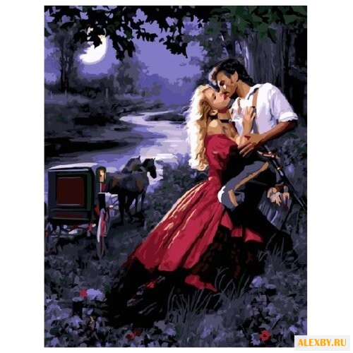 Paintboy Картина по номерам