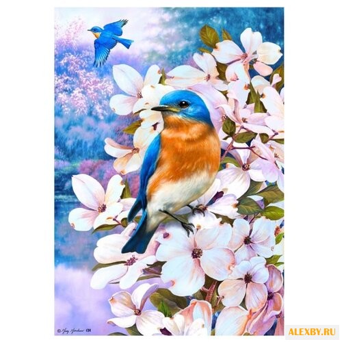 Цветной Картина по номерам