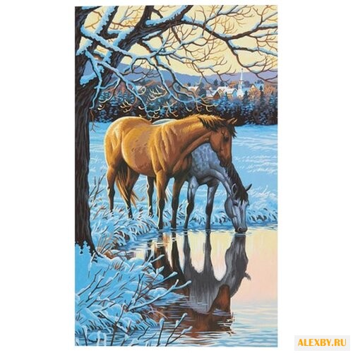 Dimensions Картина по номерам