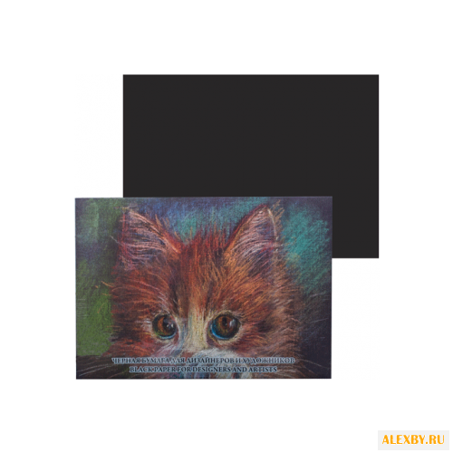 Папка Лилия Холдинг Black