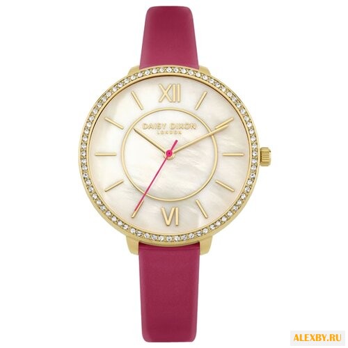 Наручные часы DAISY DIXON DD088PG