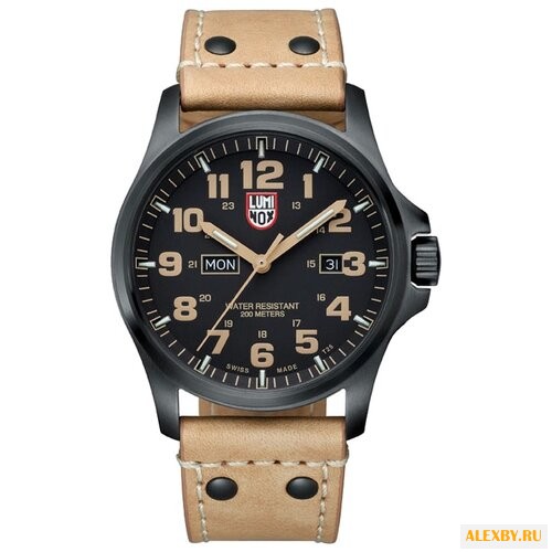 Наручные часы Luminox A.1925