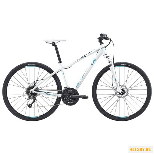 Горный гибрид Giant Rove 2 Disc