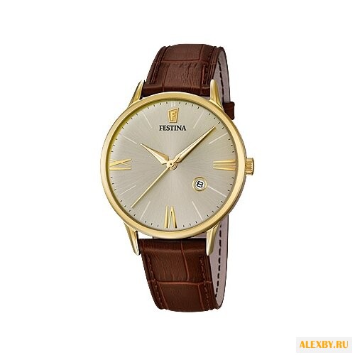 Наручные часы FESTINA F16825 2