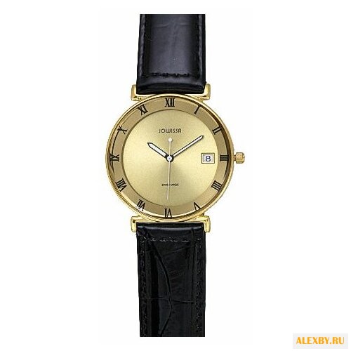 Наручные часы JOWISSA J2.047.L