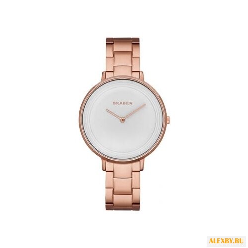 Наручные часы SKAGEN SKW2331