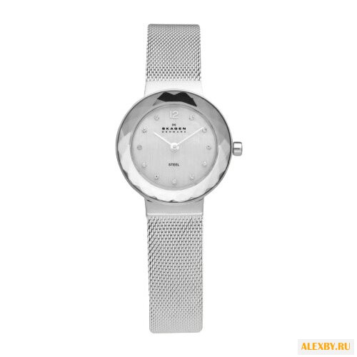 Наручные часы SKAGEN 456SSS