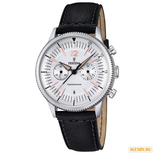Наручные часы FESTINA F16870 1