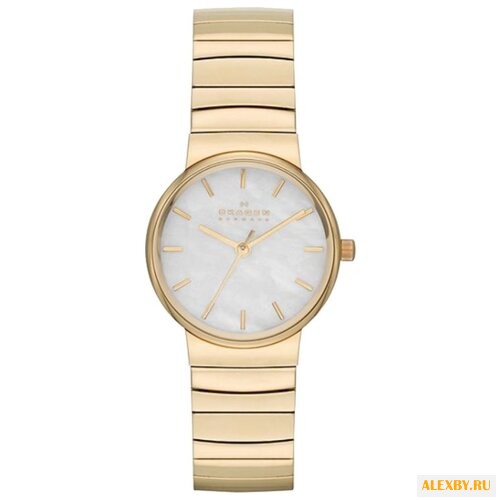 Наручные часы SKAGEN SKW2199