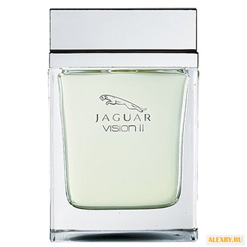 Jaguar Vision II