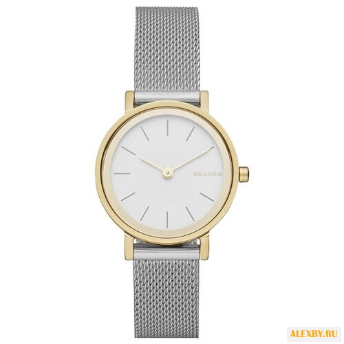 Наручные часы SKAGEN SKW2445