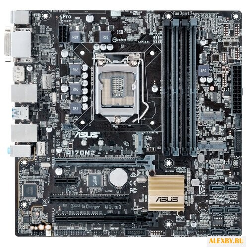 Материнская плата ASUS Q170M2