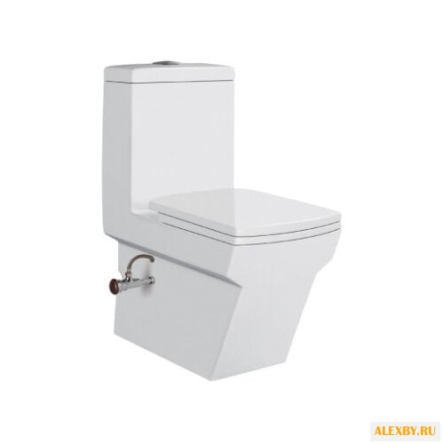 Унитаз-биде Laguraty 2192A