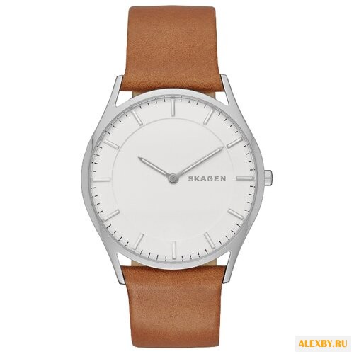 Наручные часы SKAGEN SKW6219