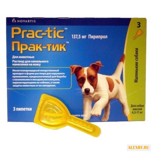 Novartis Прак-тик для средних