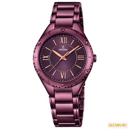 Наручные часы FESTINA F16924 2