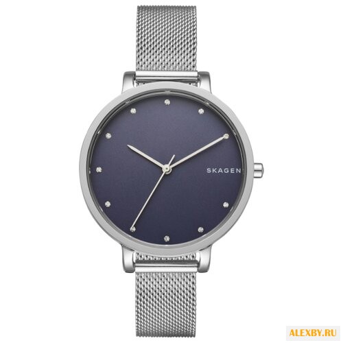Наручные часы SKAGEN SKW2582