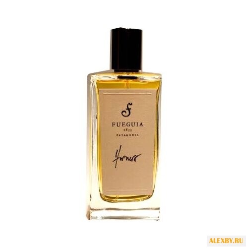 Fueguia 1833 Hornero