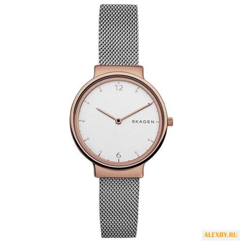 Наручные часы SKAGEN SKW1086