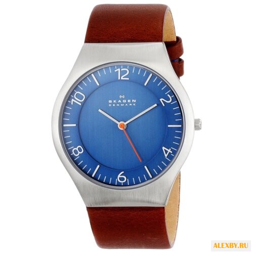Наручные часы SKAGEN SKW6112