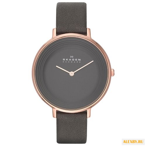 Наручные часы SKAGEN SKW2216