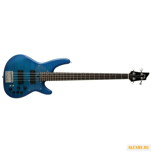 Бас-гитара FUJIGEN EDR-4R