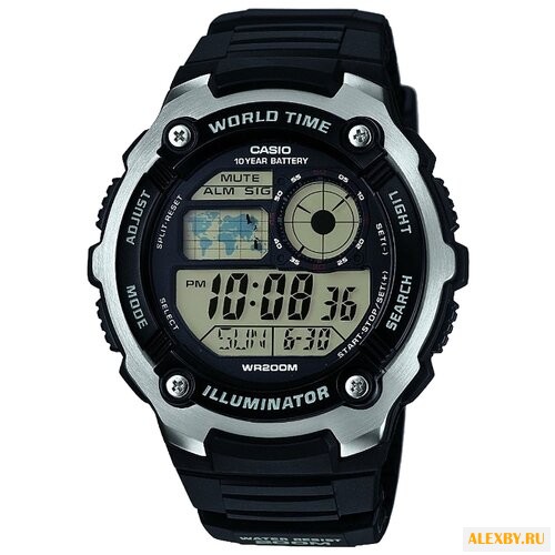 Наручные часы CASIO AE-2100W-1A