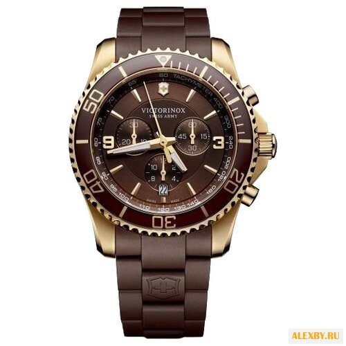 Наручные часы VICTORINOX V241692