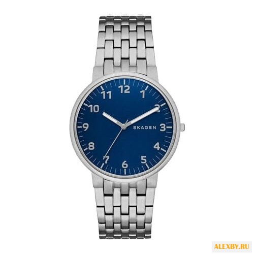 Наручные часы SKAGEN SKW6201