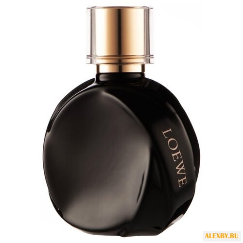 Loewe Quizas Seduccion