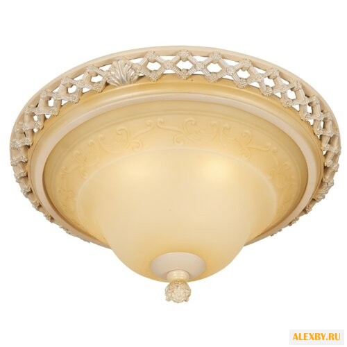 Wertmark Adora WE342.03.027