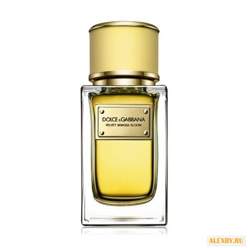 DOLCE & GABBANA Velvet Mimosa