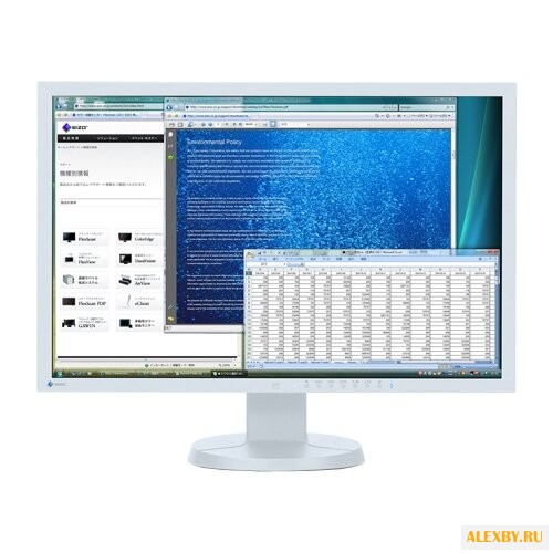 Монитор Eizo FlexScan EV2416WFS