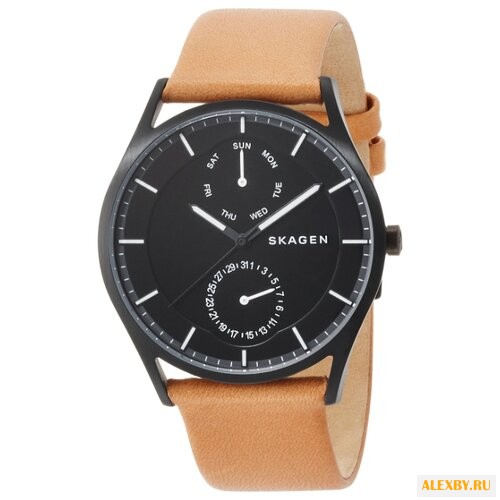 Наручные часы SKAGEN SKW6265