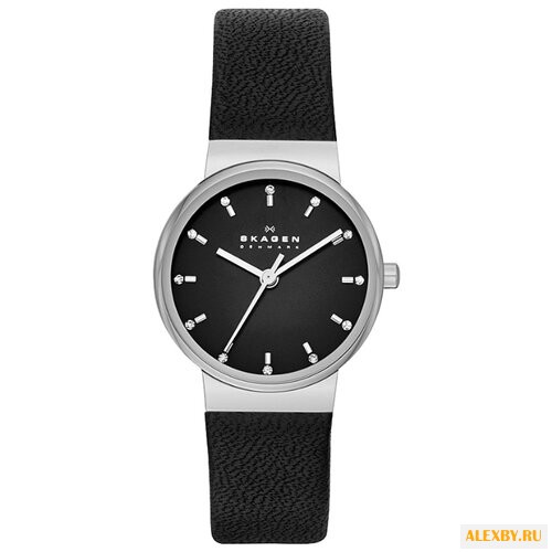 Наручные часы SKAGEN SKW2193